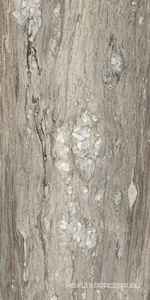 Керамогранит для пола и стены Florim Etoile de Rex Etoile Tropical Glossy 60x120 761682