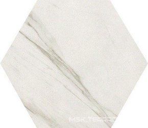 Roma Statuario Esagono ZZ I21.6x25