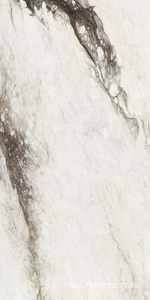 Керамогранит для пола и стены Florim Magnum Etoile De Rex Etoile Renoir Glossy KL 120x240 761737