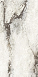 Керамогранит для пола и стены Florim Magnum Etoile De Rex Etoile Renoir Glossy KL 120x240 761737