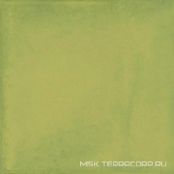 Vita Verde Luc ZZ |20x20
