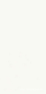 Керамогранит для пола и стены Ariostea Marmi Classici Thassos Luc 60x120 PL612554