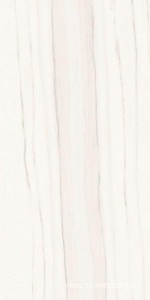 Керамогранит для пола и стены Ariostea Marmi Classici Zebrino Bianco Luc 60x120 PL612517