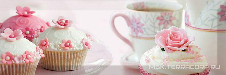 Decor Meringue 02 ZZ |10x30