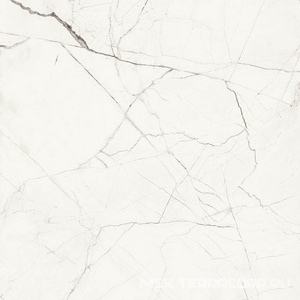 Керамогранит для пола и стены Imola The Room STA VP6 120 RM (п.п.) l120x120 166849