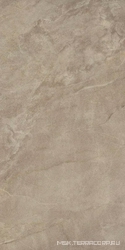 Muse 12BG ZZ |60x120