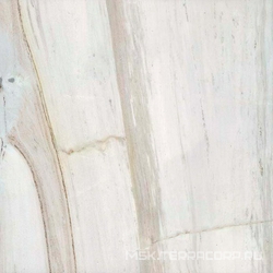 Palissandro Glossy XX |120x120