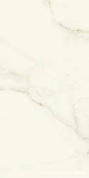 Marvel Calacatta Apuano Matt  ZZ 60x120