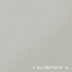 Моноколор  CFUF010 бело-серый матовый ММ  XX  60x60
