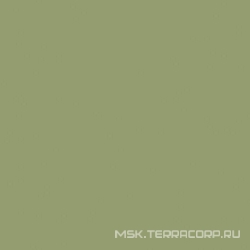 Керамогранит Monocolor green RAL6021 PG 01 XX|600х600