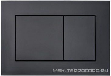 Панель смыва с двумя клавишами, (пластик цв. черный матовый), TECEnow ZZ
