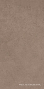 Керамогранит для пола и стены Sant Agostino Ritual  Brown 3060  (п.п.)  30x60 CSARIBR130