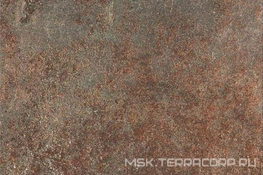 Urban Russet Strut XX |20x30