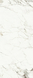 AE CAP6 278 LP  ZZ ( п.п.) 120x278