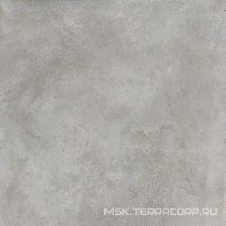 Emotion Gris IN (цена за полный паллет) ZZ |31x31