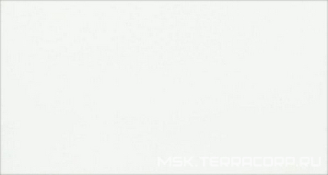 Vallter Blanco XX |31.6x59.2