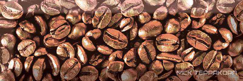 Decor Coffee Beans 03 XX |10x30