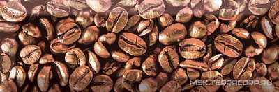 Decor Coffee Beans 03 XX |10x30