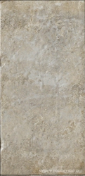 Sugar Cane |10x20