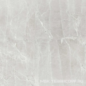 Керамогранит для пола Гранитея uvildy/увильды Uvildy Grey G363/ серый полированный 60x60 Серый G363PR