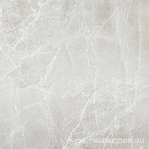 Керамогранит для пола Гранитея uvildy/увильды Uvildy Grey G363/ серый полированный 60x60 Серый G363PR