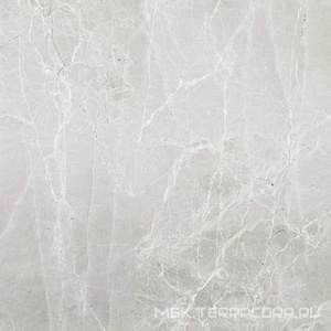 Керамогранит для пола Гранитея uvildy/увильды Uvildy Grey G363/ серый полированный 60x60 Серый G363PR