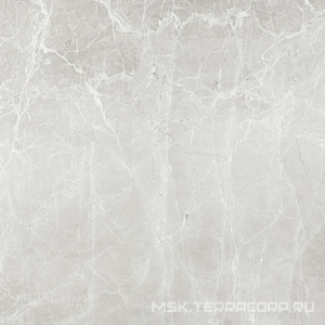 Керамогранит для пола Гранитея uvildy/увильды Uvildy Grey G363/ серый полированный 60x60 Серый G363PR