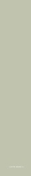 Solid Menta |6,1x37