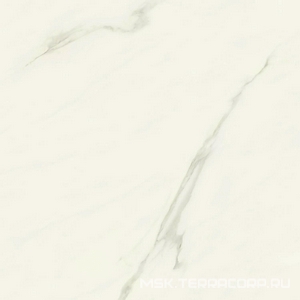 Керамогранит для пола и стены Atlas Concorde Italy Marvel Meraviglia  Calacatta Meraviglia Velvet 120x120 AJII