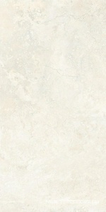 Керамогранит для пола и стены Sant Agostino Invictus Cross  White 60120 nat (п.п.) 60x120 CSAISWH612