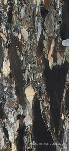 Керамогранит для пола и стены Florim Magnum Les Bijoux De Rex Les Quatre Saisons Glossy 120x280 765703