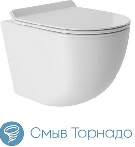 Компл.: унитаз подв..безободк,Tornado 490х360мм,цв.белый гл, сиденье с микролиф,,инстал. д/унит., крепёж, клавиша смыва Quadrado цв.белый гл.,  ZZ Aqueduto Ovo AQDS010T