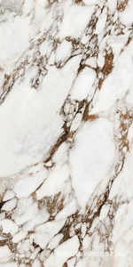 Керамогранит для пола и стены Florim Les Bijoux De Rex Bijoux Breche Capraia Glossy 60x120 766333