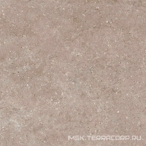 Керамогранит для пола Гранитея arkaim/аркаим Arkaim Beige G212/ бежевый мат. 60x60 Бежевый G212MR