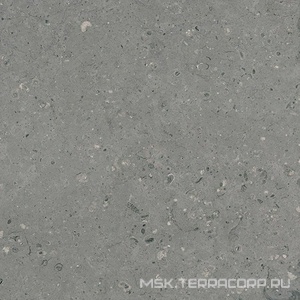 Керамогранит для пола Гранитея arkaim/аркаим Arkaim Grey G213/ серый мат .60x60 Серый G213MR