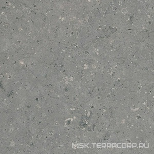 Керамогранит для пола Гранитея arkaim/аркаим Arkaim Grey G213/ серый мат .60x60 Серый G213MR