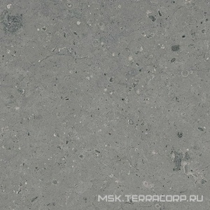 Керамогранит для пола Гранитея arkaim/аркаим Arkaim Grey G213/ серый мат .60x60 Серый G213MR