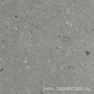 Керамогранит для пола Гранитея arkaim/аркаим Arkaim Grey G213/ серый мат .60x60 Серый G213MR
