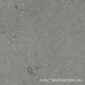 Керамогранит для пола Гранитея arkaim/аркаим Arkaim Grey G213/ серый мат .60x60 Серый G213MR