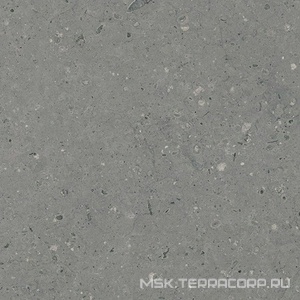 Керамогранит для пола Гранитея arkaim/аркаим Arkaim Grey G213/ серый мат .60x60 Серый G213MR