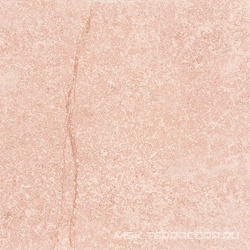 Shunut Brown G304/Шунут коричневый мат.60x60 XX