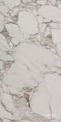 Paonazzetto Lux XX 60x120