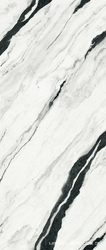 Panda White A Lap. XX 120x278