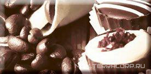 Decor Chocolat Cake 01 ZZ |10x20