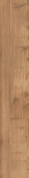 Just Mix Miele ZZ|20x120