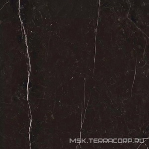 Керамогранит для пола Florim i classici di rex Marquinia Glossy 80x80 Черный 750877