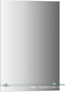 Зеркало  50*70 см, с полочкой ZZ Evoform Attractive BY0504/294497
