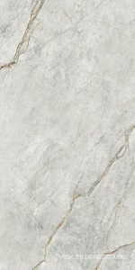 Керамогранит для пола и стены Imola The Room Gre Ro6 12LP 60x120 177343