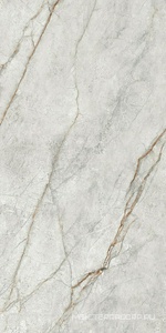 Керамогранит для пола и стены Imola The Room Gre Ro6 12LP 60x120 177343