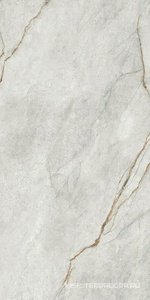 Керамогранит для пола и стены Imola The Room Gre Ro6 12LP 60x120 177343